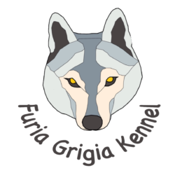 Furia Grigia Kennel